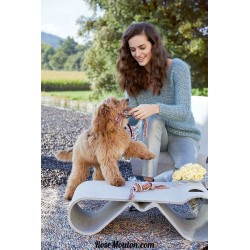 Modèle jouet pour chien 7 catalogue FAM 253 Lang Yarns