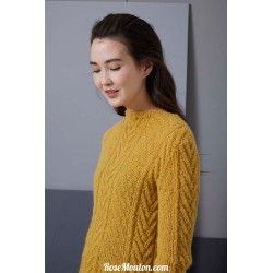 Modèle pullover 51 catalogue FAM 255 Lang Yarns