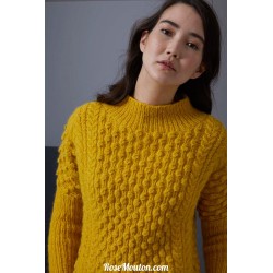 Modèle pullover 52 catalogue FAM 255 Lang Yarns