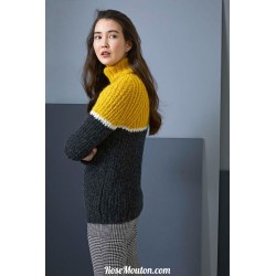 Modèle pullover raglan 55 catalogue FAM 255 Lang Yarns