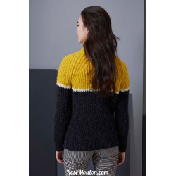 Modèle pullover raglan 55 catalogue FAM 255 Lang Yarns