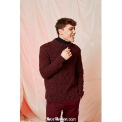 Modèle pullover homme 43 catalogue FAM 261 Lang Yarns