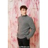 Modèle pullover homme 65 catalogue FAM 261 Lang Yarns