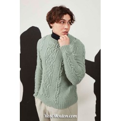 Modèle pullover homme 38 catalogue FAM 269 Lang Yarns