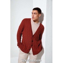 Modèle cardigan homme 48 catalogue FAM 272 Lang Yarns