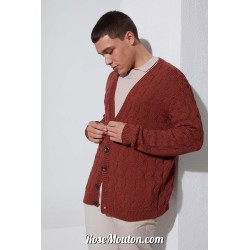 Modèle cardigan homme 48 catalogue FAM 272 Lang Yarns