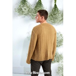 Modèle pullover homme 23 catalogue FAM 272