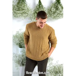 Modèle pullover homme 23 catalogue FAM 272