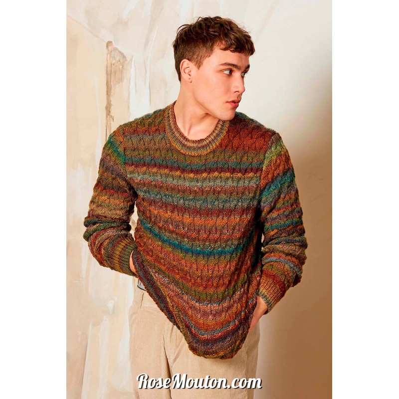 Modèle pullover homme 3 Punto 44 HOMME Lang Yarns