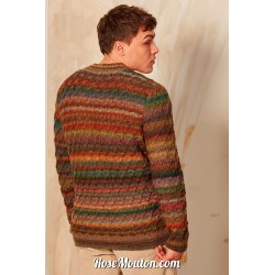 Modèle pullover homme 3 Punto 44 HOMME Lang Yarns