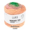 Merino 150 Dégradé