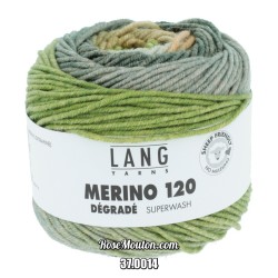 Merino 120 Dégradé