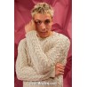 Modèle pullover homme 48 catalogue FAM 276 Lang Yarns