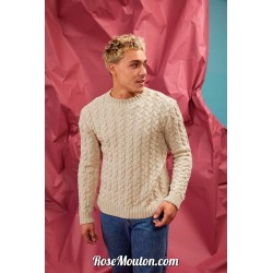 Modèle pullover homme 48 catalogue FAM 276 Lang Yarns