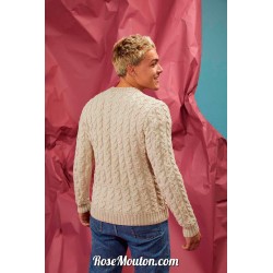 Modèle pullover homme 48 catalogue FAM 276 Lang Yarns