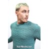 Modèle pullover homme 55 catalogue FAM 280 Lang Yarns