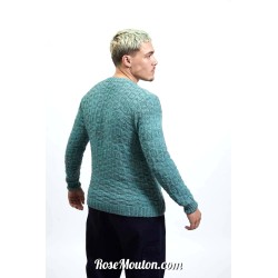 Modèle pullover homme 55 catalogue FAM 280 Lang Yarns