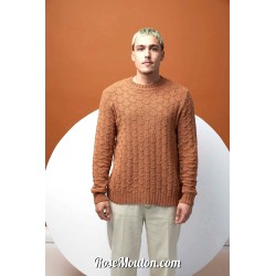 Modèle pullover homme 34 catalogue FAM 280 Lang Yarns