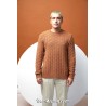 Modèle pullover homme 34 catalogue FAM 280 Lang Yarns