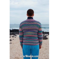 Modèle pullover homme 3 Punto 72 LOVIS Lang Yarns