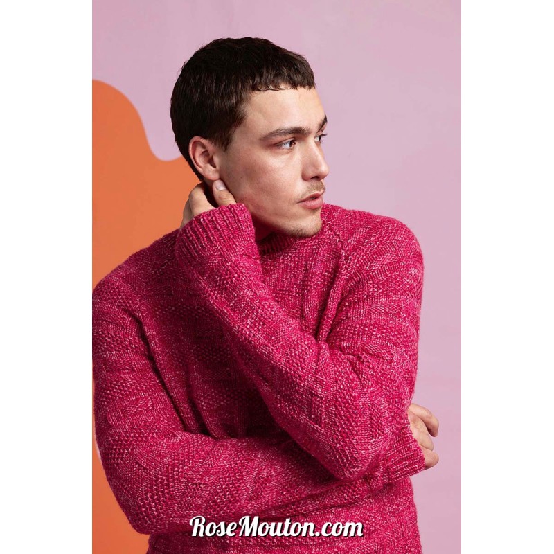 Modèle pullover homme 14 catalogue FAM 282 Lang Yarns