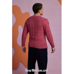 Modèle pullover homme 14 catalogue FAM 282 Lang Yarns