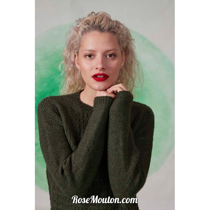 Modèle pullover 36 catalogue FAM 282 (PDF)