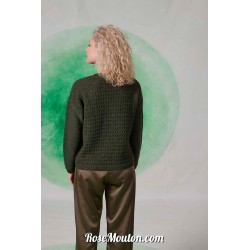 Modèle pullover 36 catalogue FAM 282 (PDF)