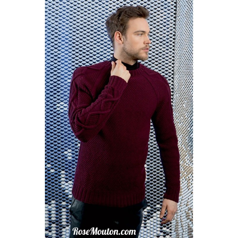 Modèle Pull homme 3 catalogue 224