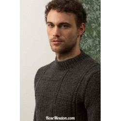 Modèle Pullover homme 55 catalogue 236