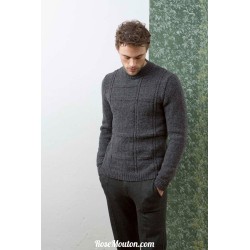 Modèle Pullover homme 55 catalogue 236