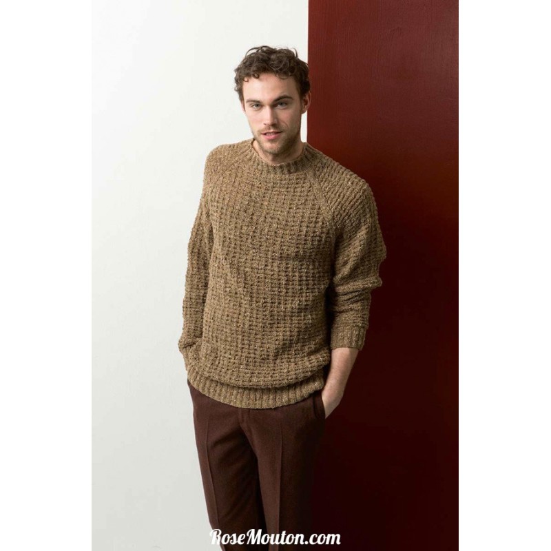 Modèle pullover homme 48 catalogue 238