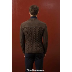 Modèle gilet homme 50 catalogue 238