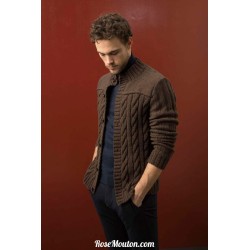 Modèle gilet homme 50 catalogue 238